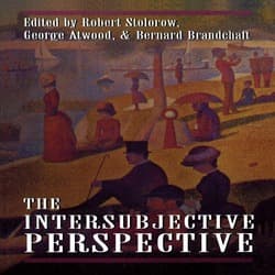 Robert Stolorow, George Atwood, & Bernard Brandchaft - The Intersubjective Perspective book cover